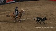 2019 San Antonio Stock Show & Rodeo