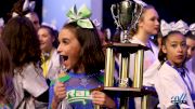 Learn The History Of The Stingray Allstars