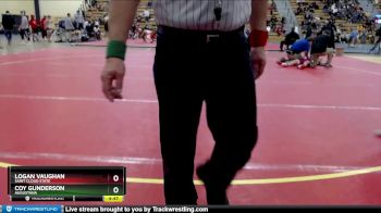 165 lbs Quarterfinal - Logan Vaughan, Saint Cloud State vs Coy Gunderson, Augustana