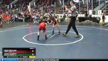 67 lbs Semis & 1st Wrestleback (8 Team) - Tate Freyling, Lowell White vs Noah Haggitt, Brighton Orange