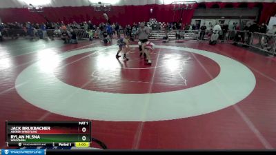 125 lbs Quarterfinal - Rylan Mlsna, Wisconsin vs Jack Brukbacher, Askren Wrestling