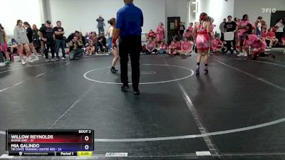 107 lbs Quarterfinals (8 Team) - Willow Reynolds, RaZor GWC vs Mia Galindo, Tri State Training Center Red