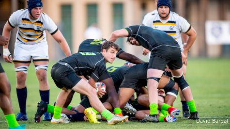 Rudy Scholz Award Watchlist: Ryan Rees