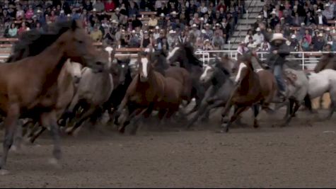 Experience Greatness. Experience The Ponoka Stampede.