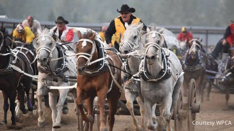 2019 World Professional Chuckwagon Association: Grande Prairie Stompede