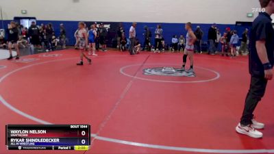 106 lbs Round 5 - Rykar Shindledecker, All In Wrestling vs Waylon Nelson, Unattached