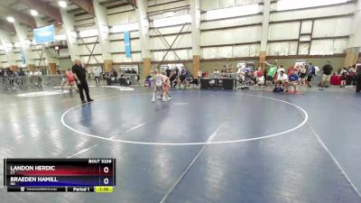 92 lbs Cons. Round 2 - Landon Herdic, CT vs Braeden Hamill, WI