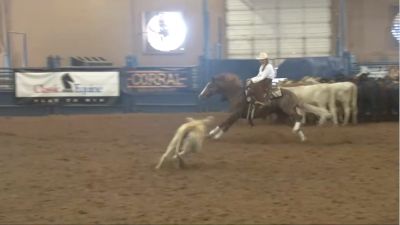 NHSRA Texas | June 14 | Cutting Championship