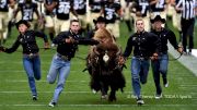 The Totem Pole Of Live College Mascots