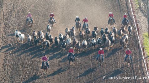 CFR Countdown No. 8: The Ponoka Stampede