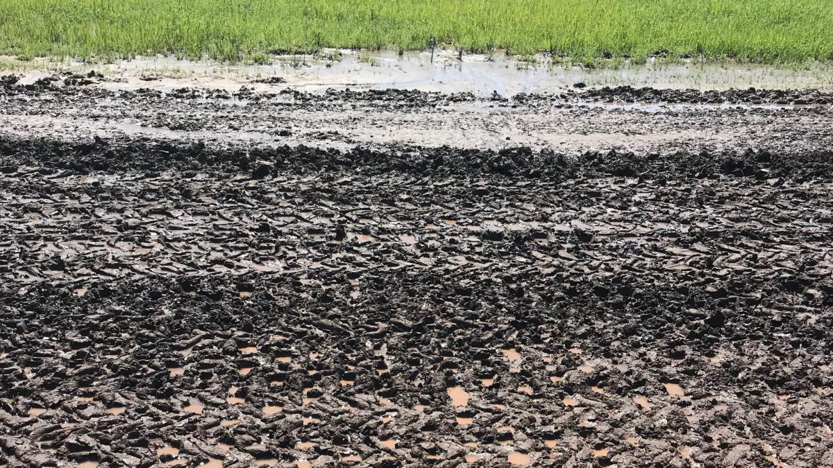 Concordia USAC Midget Race Postponed to Thursday