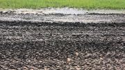 Concordia USAC Midget Race Postponed to Thursday