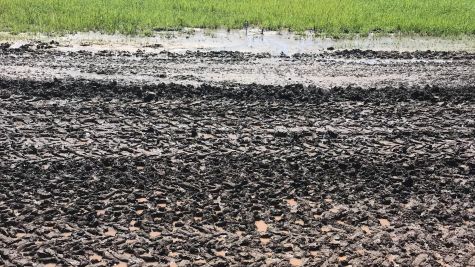 Concordia USAC Midget Race Postponed to Thursday