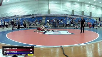 132 lbs Cons. Round 4 - Rodrigo Arceo, IL vs Cayden Pluhar, OH