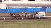 2019 World Professional Chuckwagon Association | Dawson Creek Battle Of The North | Day Two