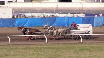 WPCA | Dawson Creek | Day 2