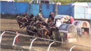 2019 World Professional Chuckwagon Association | Dawson Creek Battle Of The North | Day Three