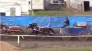 2019 World Professional Chuckwagon Association | Dawson Creek Battle Of The North | Day Four