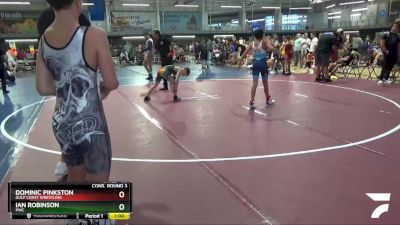 80 lbs Cons. Round 3 - Dominic Pinkston, Gulf Coast Wrestling vs Ian Robinson, PWC