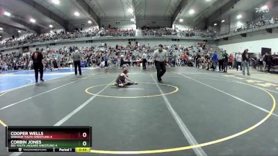 45 lbs Quarterfinal - Cooper Wells, Windsor Youth Wrestling-A vs Corbin Jones, BSS Youth Jaguars Wrestling-A