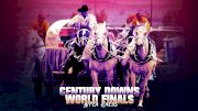 2019 World Professional Chuckwagon Association: Century Downs World Finals