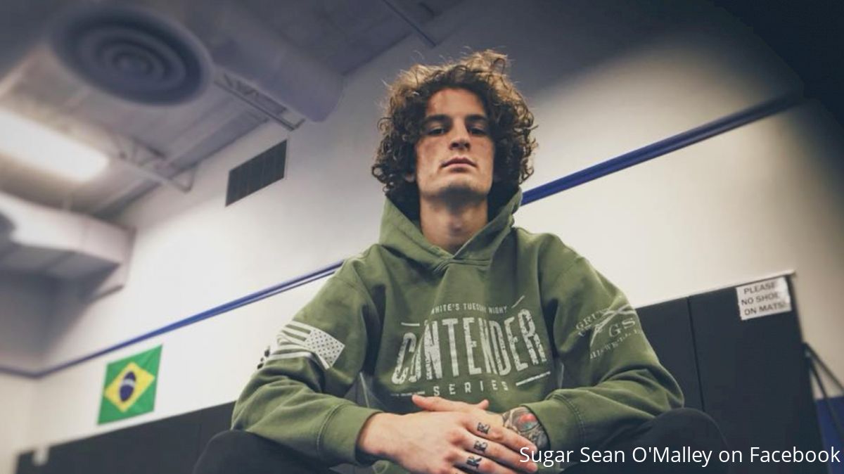 Sean O'Malley: 100% Jiu Jitsu Right Now