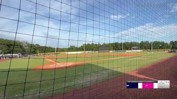 Florence Flamingos vs. Savannah Bananas - 2022 Savannah Bananas vs Florence Flamingos