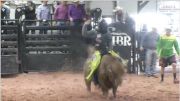 2019 PBR | Lockney Mini Bulls | Round Two | RidePass PRO