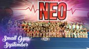 Meet The Teams Of N.E.O. All Stars