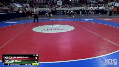 6A 165 lbs Quarterfinal - Agustin Hernandez-Maldonado, Hazel Green HS vs Fernando Trejo, Homewood Hs