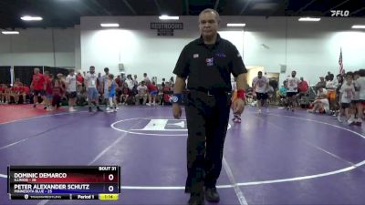 71 lbs 2nd Place Match (16 Team) - Dominic DeMarco, Illinois vs Peter Alexander Schutz, Minnesota Blue