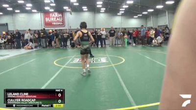 97 lbs Cons. Round 3 - Cullyer Roadcap, Shenandoah Valley Wrestling Cl vs Leland Cline, Virginia Patriots Wrestling