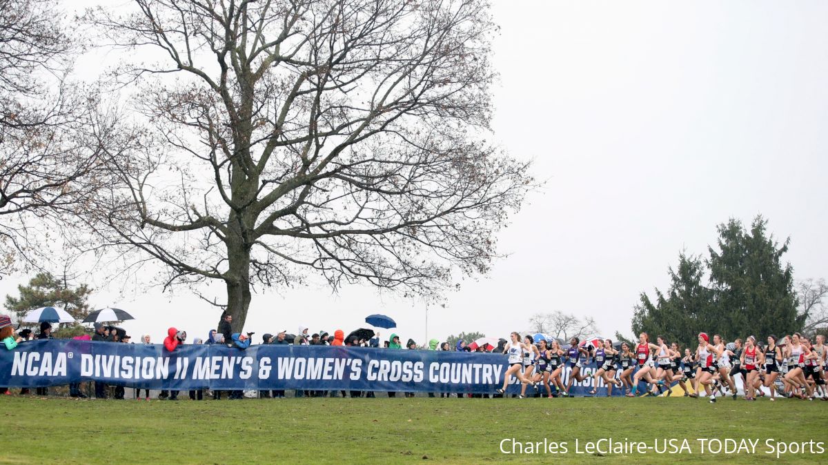 2019 DII NCAA XC Championships Field Announced