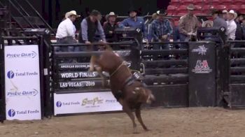 ABBI World Finals Futurity | Day Four