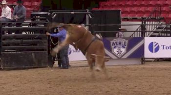 ABBI World Finals Futurity | Day Two