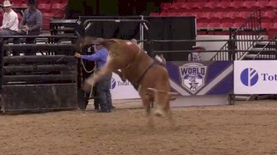 ABBI World Finals Futurity | Day Two