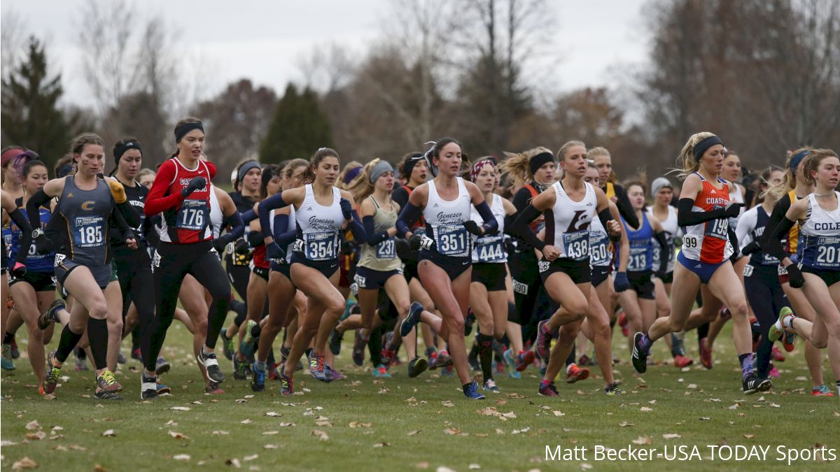 2019 DIII NCAA XC Championship Qualifiers