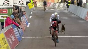 Highlight: Dog Terrorizes Racers At Vlaamse Druivencross