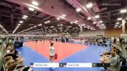 Michigan elite vs Virginia elite - 2022 JVA Summerfest presented by Nike