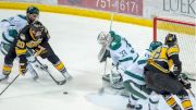 WCHA Watch Guide: Week Of February 17