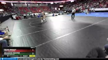 D2-170 lbs Quarterfinal - Devin Wasley, Saint Croix Central vs Brandon Meister, Spooner/Webster