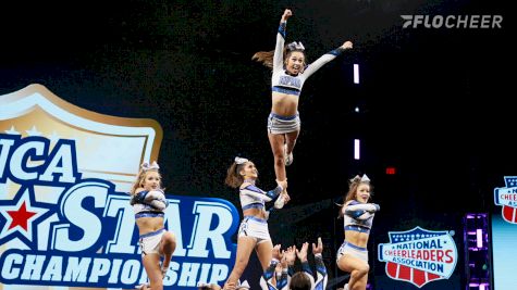 You Can't Take The Fight Out Of The Dog