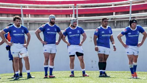 MLR First Quarter Report Cards