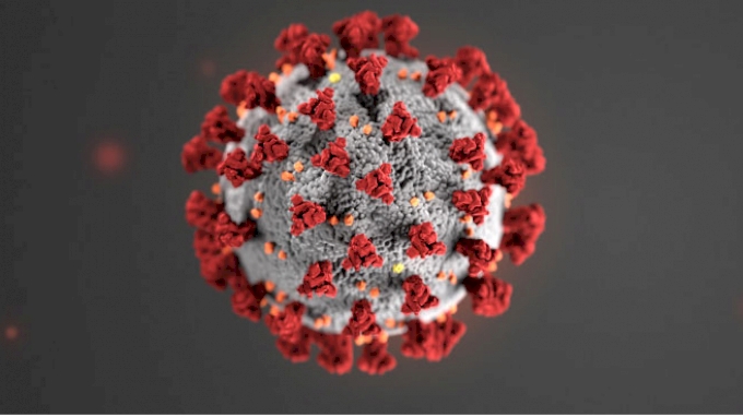 coronavirus.jpg