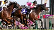 How To Watch Takamatsunomiya Kinen