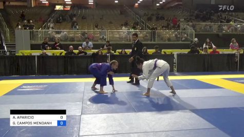 ALONDRA APARICIO vs GABRIELA CAMPOS MENDANHA 2024 Pan Jiu Jitsu IBJJF Championship
