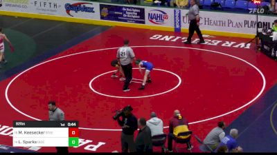 82 lbs Consi Of 4 - Mason Keesecker, Steel Valley vs Lawson Sparks, Diocese Of Erie