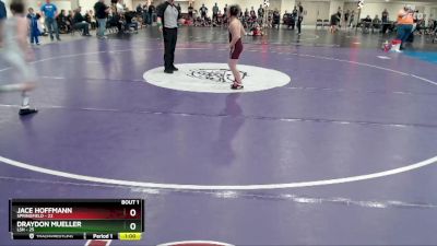 93 lbs Semis (4 Team) - Draydon Mueller, LSH vs Jace Hoffmann, Springfield