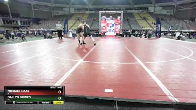 285 lbs Cons. Round 3 - Dallyn Grimes, ID vs Michael Haas, IL