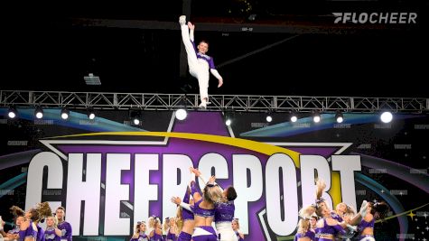 6 Fan-Favorite Baskets From 2020